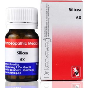 Dr. Reckeweg Silicea