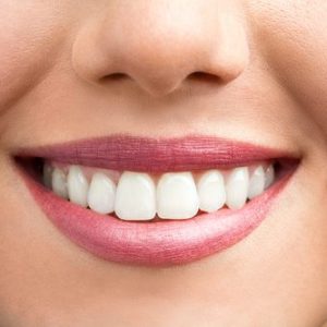 Mouth, Gums & Teeth