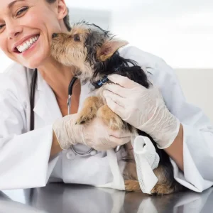Veterinary