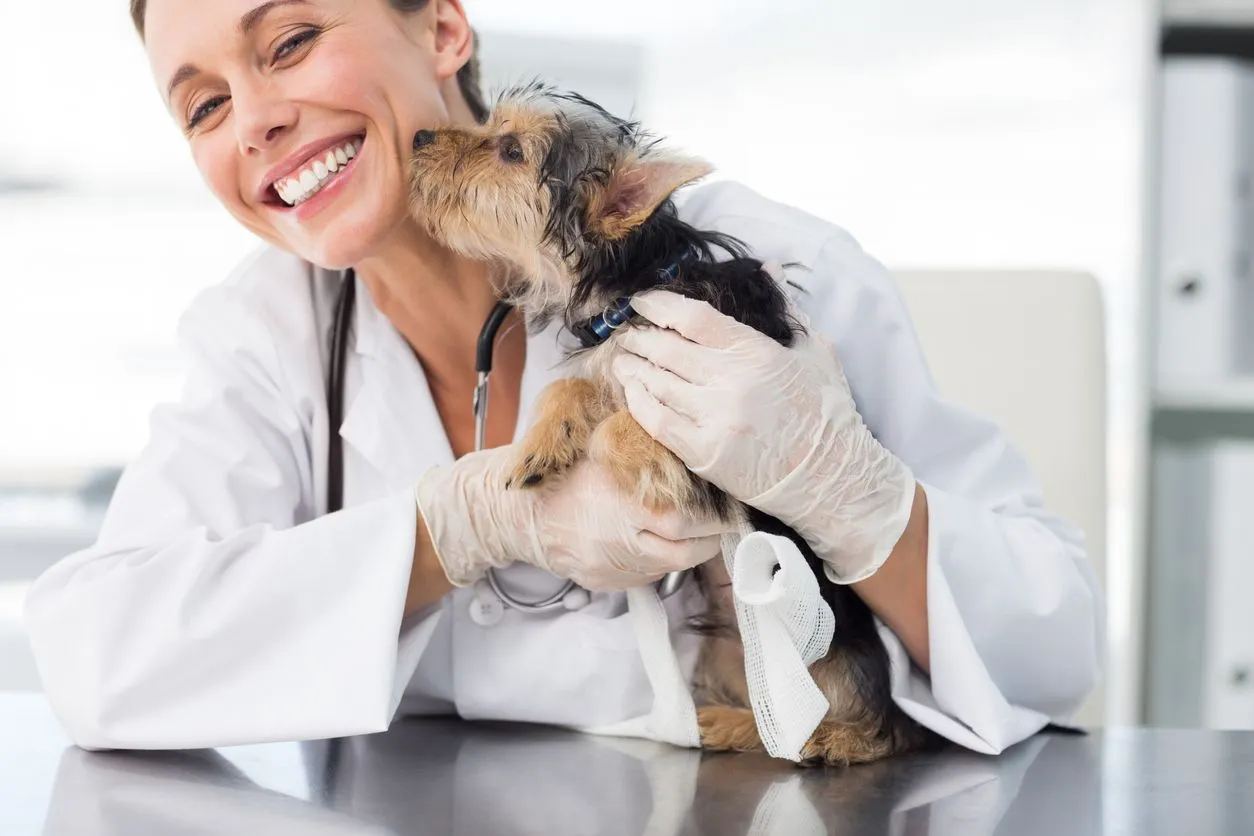 Veterinary